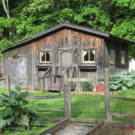 The Renovated Barn At Seneca Rocks Villa Buitenkant foto