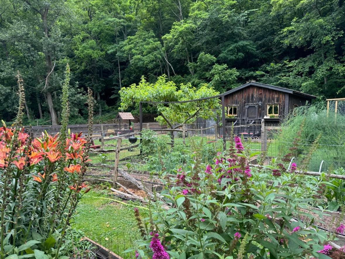 The Renovated Barn At Seneca Rocks Villa Buitenkant foto