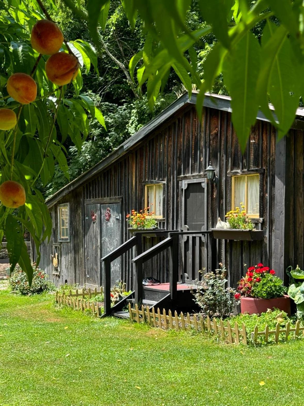 The Renovated Barn At Seneca Rocks Villa Buitenkant foto