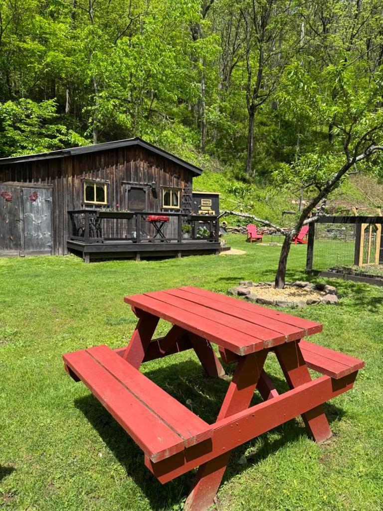 The Renovated Barn At Seneca Rocks Villa Buitenkant foto