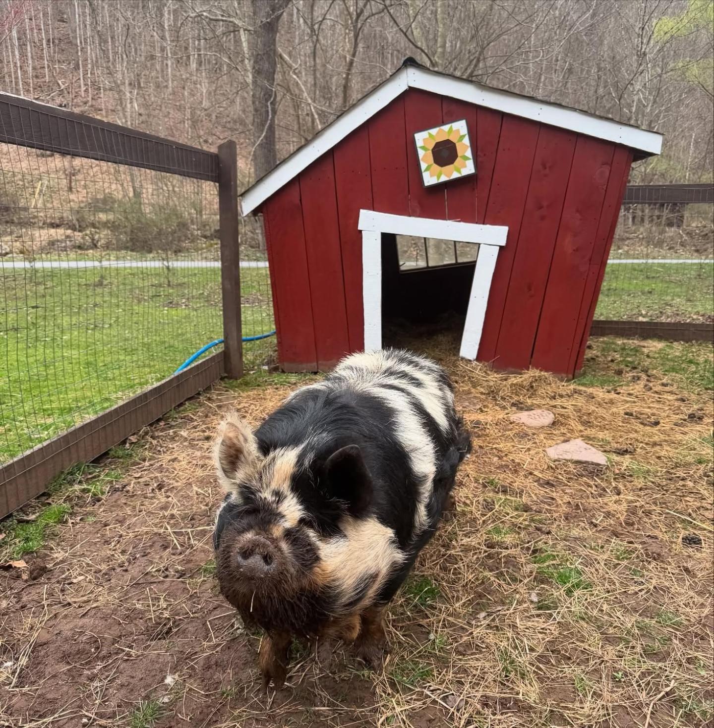 The Renovated Barn At Seneca Rocks Villa Buitenkant foto